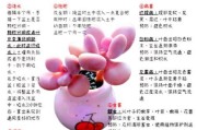 多肉植物赚钱吗_新手如何入门多肉行业