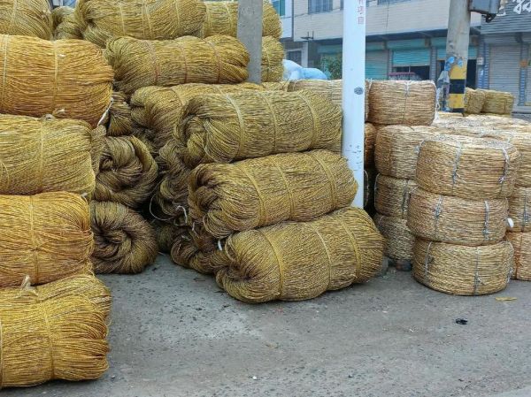 绳网前景怎么样_绳网行业未来五年趋势