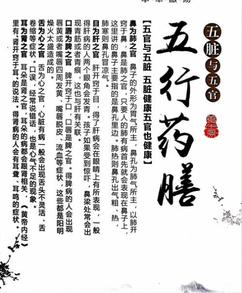 药膳行业前景怎么样_药膳创业赚钱吗