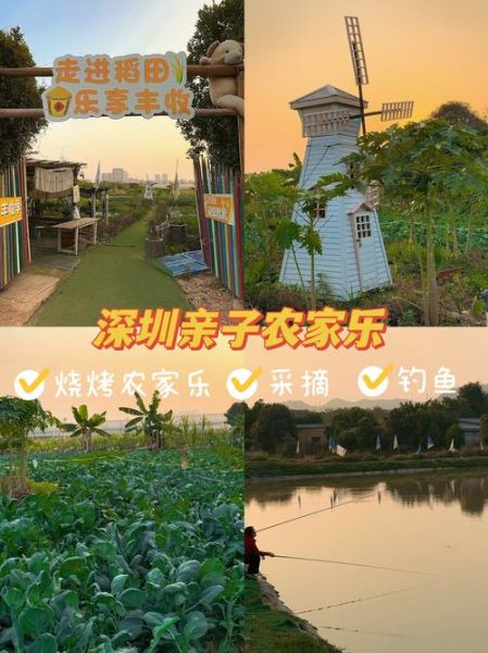 农家乐前景怎么样_如何开农家乐赚钱