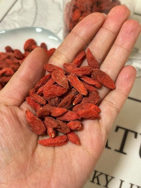 枸杞多少钱一斤_枸杞怎么选才正宗