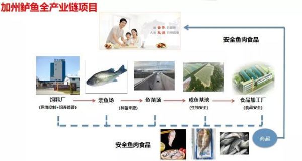 水产品发展前景怎么样_如何抓住水产品创业机会