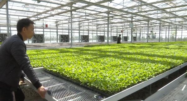 重庆立洋绿色产业发展有限公司怎么样_绿色农业项目有哪些