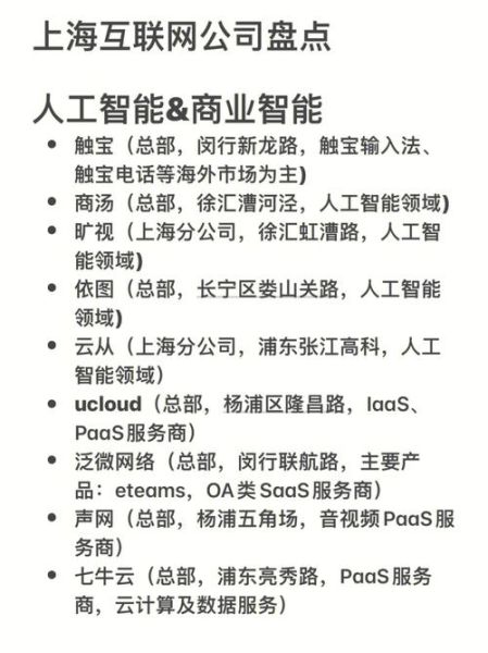 上海互联网公司排名前十_上海互联网企业有哪些