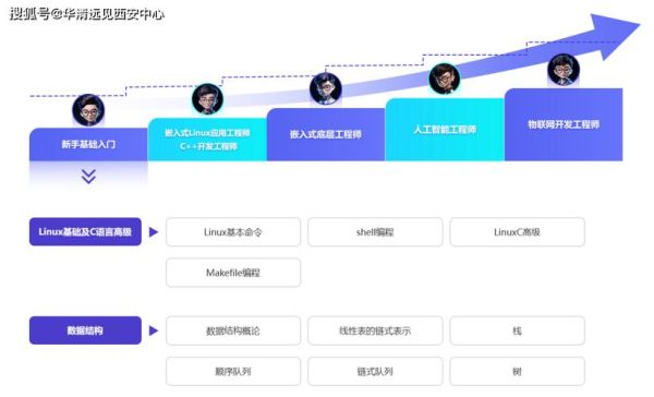 IT行业发展前景如何_2024年程序员转行方向