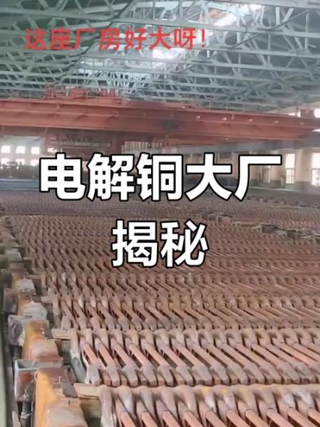 电解铜贸易怎么做_电解铜贸易风险有哪些