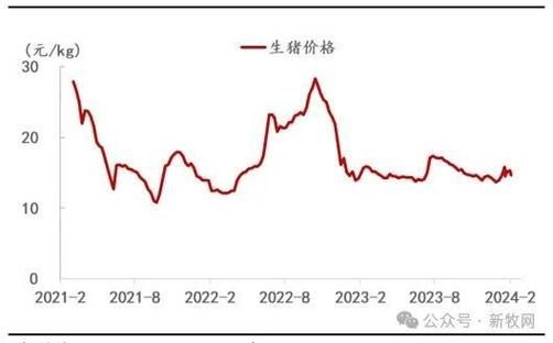 2024年猪肉价格走势预测_冷冻牛肉批发渠道有哪些