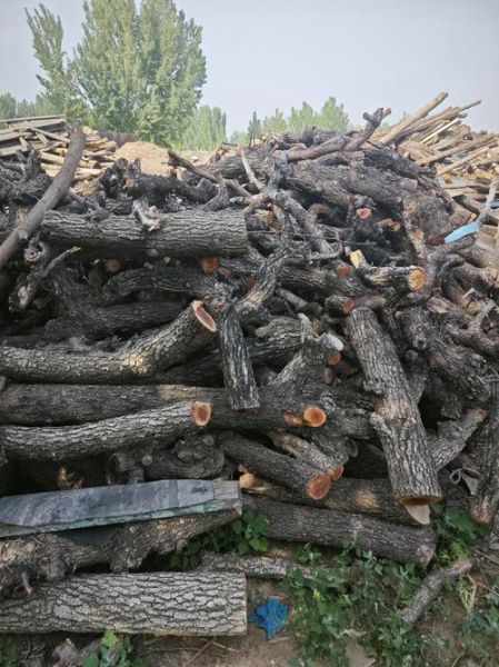 木炭行业前景怎么样_木炭生意还能做吗