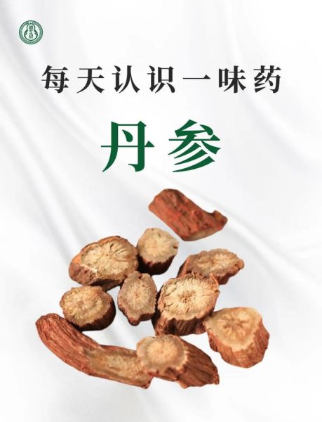 丹参市场前景如何_丹参种植赚钱吗