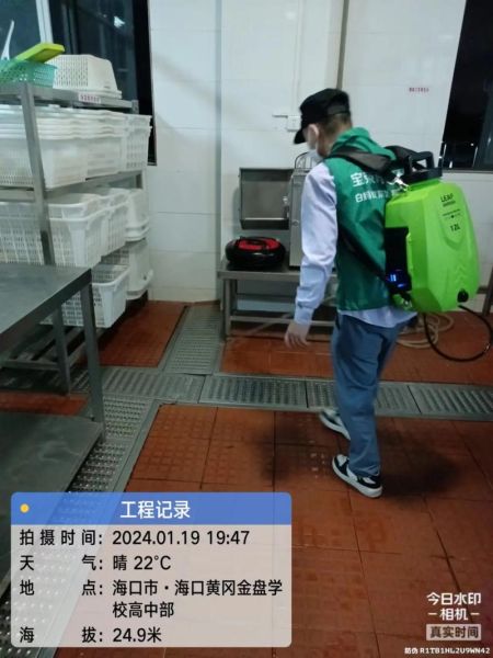 广州叶子环保除甲醛靠谱吗_叶子环保服务价格贵不贵