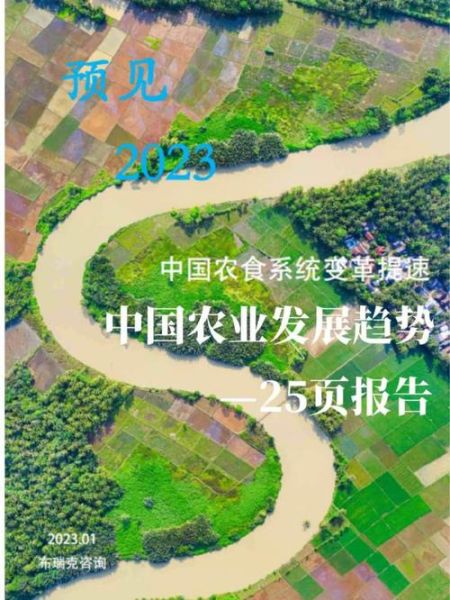 中国农业发展前景如何_未来农业赚钱吗