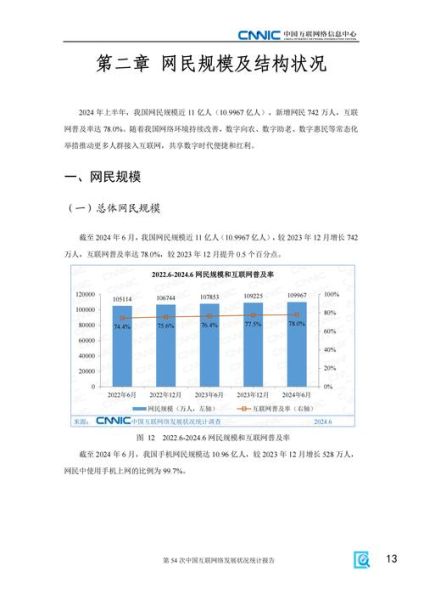 中国互联网络数据中心_最新统计报告