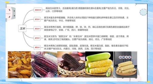 玉米米有前景吗_玉米米市场分析