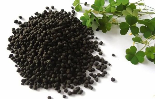 生物炭前景怎么样_生物炭能赚钱吗