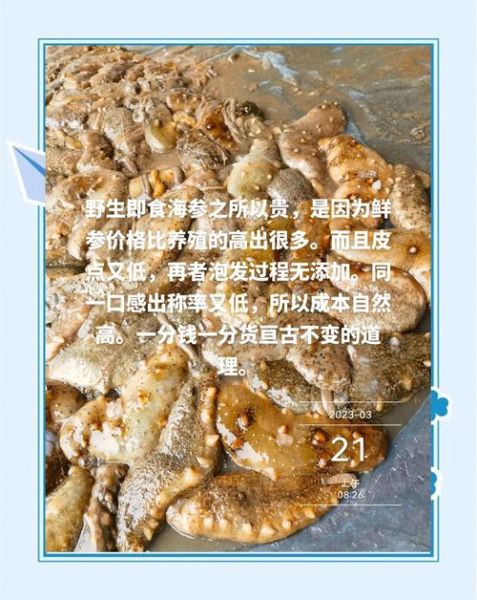 海参价格为什么那么高_2017年海参行业发生了什么