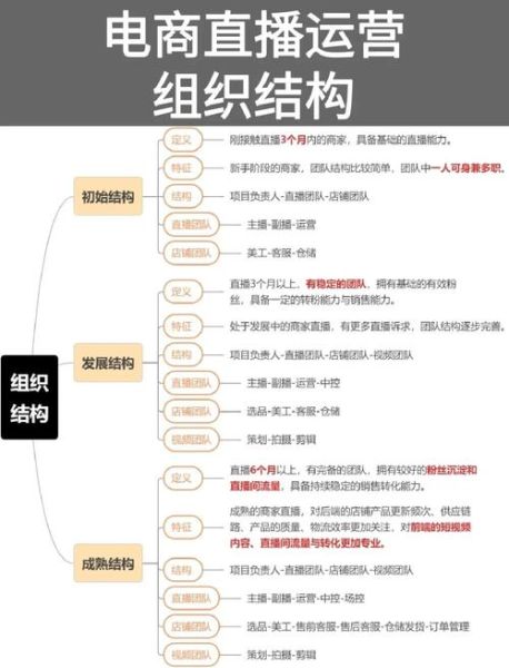 互联网公司运营构架图_如何搭建高效团队