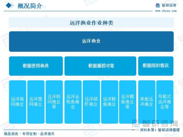 渔业前景怎么样_未来渔业发展趋势