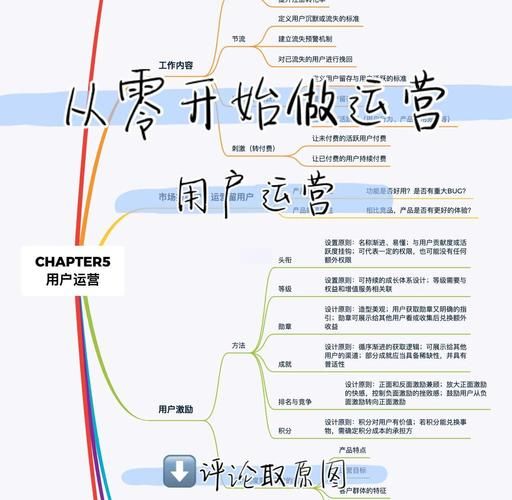 网站运营前景怎么样_新手如何入门