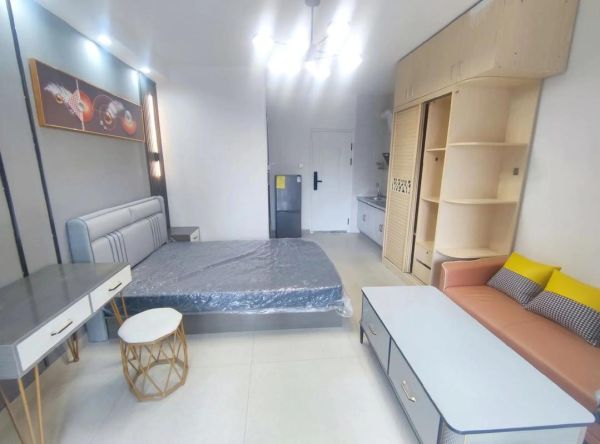 互联网公寓怎么找_长租公寓靠谱吗