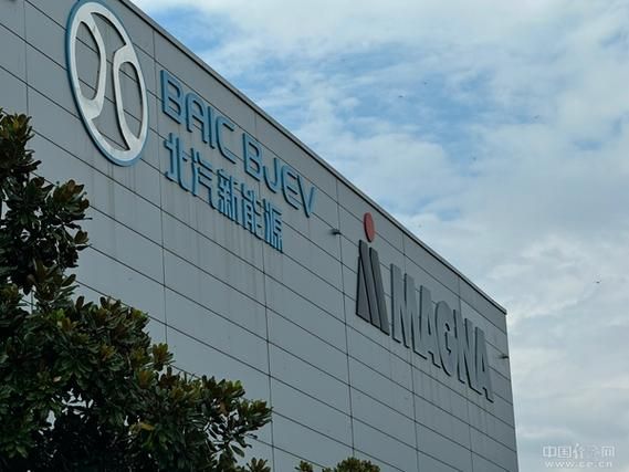 麦格纳前景怎么样_麦格纳未来发展趋势