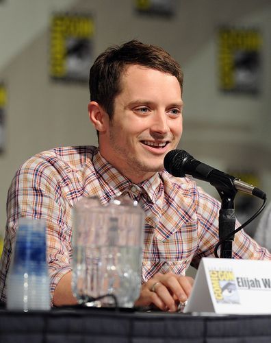 伍德前景怎么样_伍德值得长期投资吗