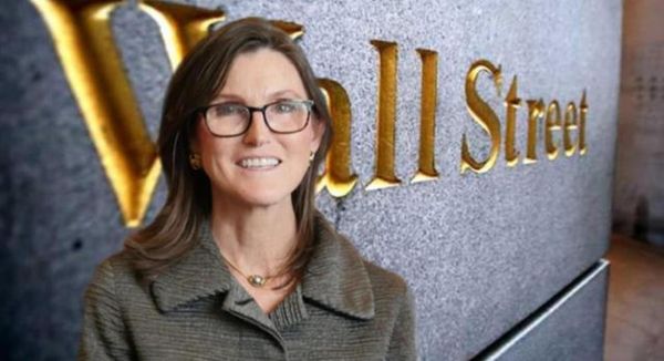 伍德前景怎么样_伍德值得长期投资吗