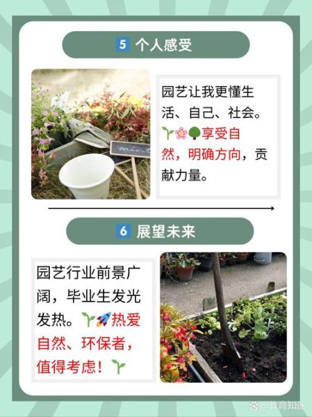 2017绿化行业前景如何_绿化行业赚钱吗