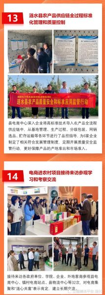 农村电商怎么做_农村创业做什么项目好