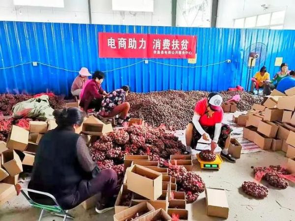 农村电商怎么做_农村创业做什么项目好