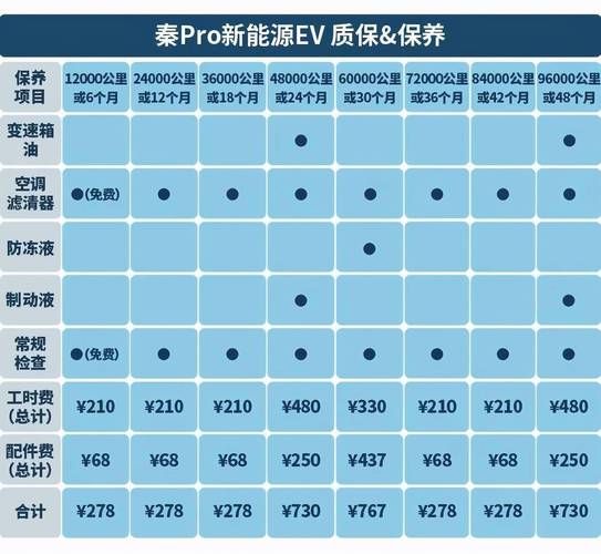 新能源汽车保养费用高吗_纯电动车保养周期多久一次