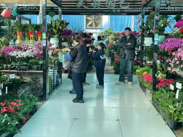 2024年花卉行业前景如何_开花店需要多少钱