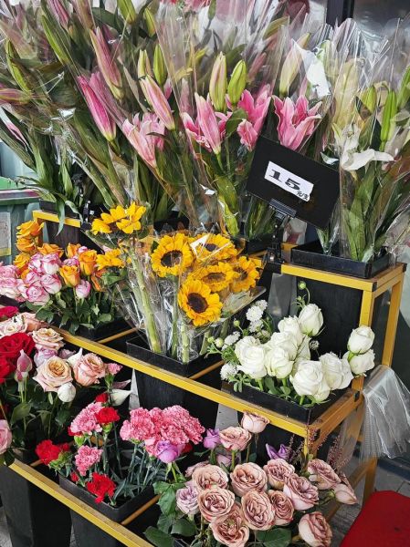 2024年花卉行业前景如何_开花店需要多少钱