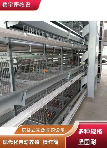养殖设备有哪些_如何选择自动化养殖设备