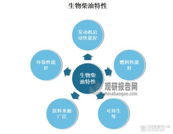 生物柴油市场前景怎么样_生物柴油原料有哪些