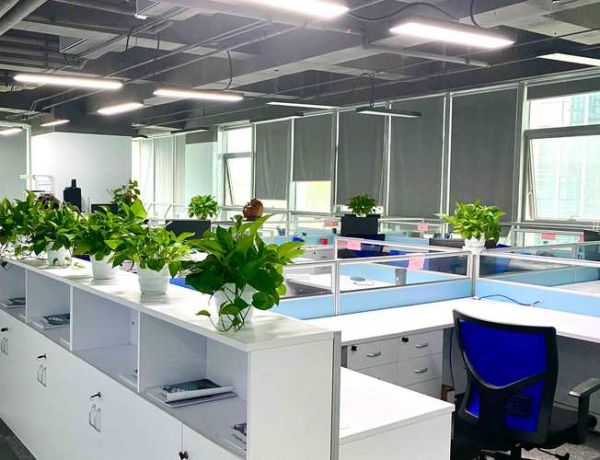 中国环境有限公司怎么样_中国环境有限公司招聘要求