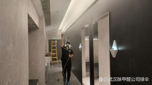 武汉除甲醛公司哪家好_室内甲醛治理价格是多少