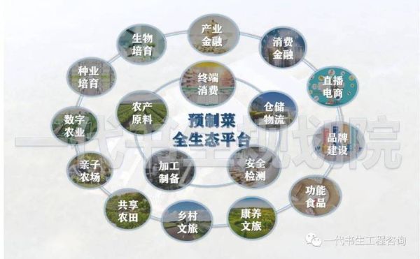 食品公司前景怎么样_未来食品企业如何突围