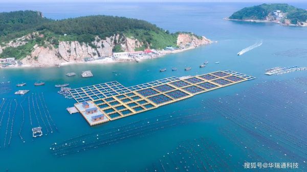 海水养殖行业前景如何_海水养殖赚钱吗