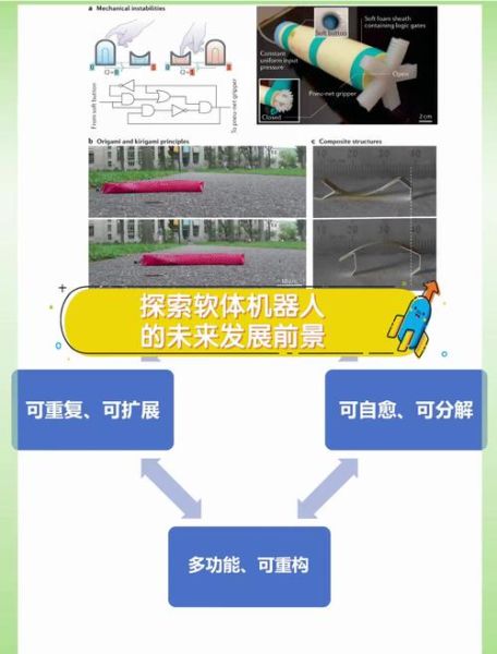 前景软体是什么_前景软体怎么样