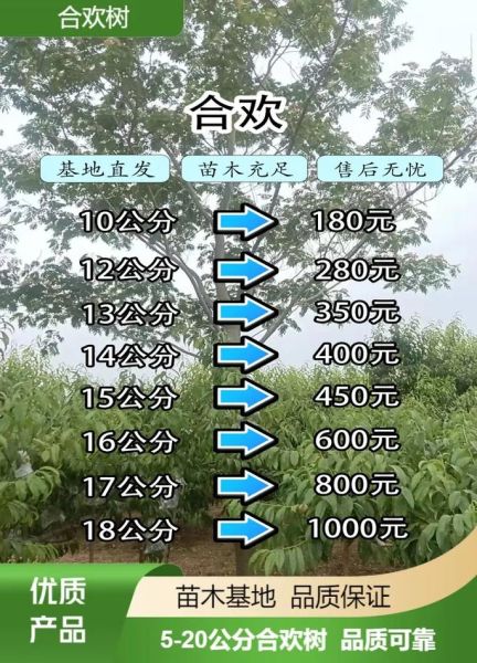 苗木价格多少钱一棵_苗木基地怎么选