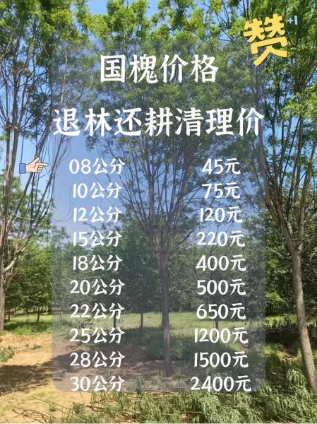 苗木价格多少钱一棵_苗木基地怎么选