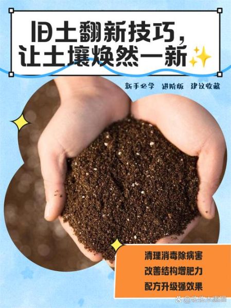 土壤修复前景怎么样_土壤修复行业赚钱吗