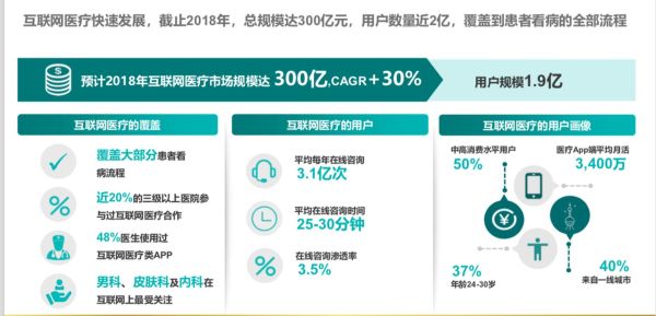 互联网医疗项目如何盈利_互联网医疗平台有哪些