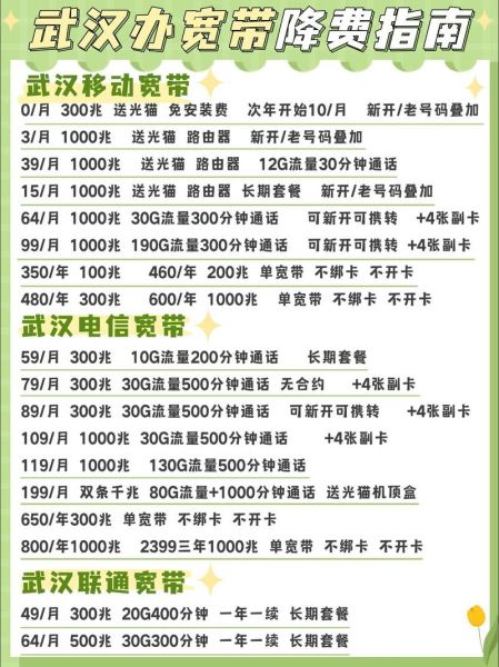 互联网宽带接入用户_如何提速降费