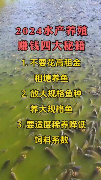 2024年养殖业前景如何_新手养什么最赚钱