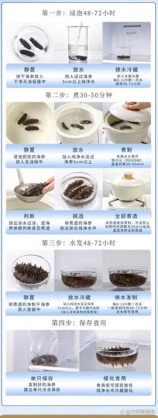 海参怎么泡发_海参多少钱一斤