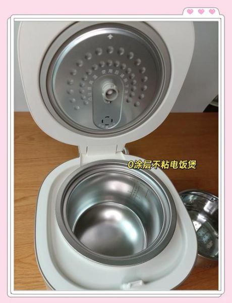 电饭煲哪个牌子好_内胆涂层掉了还能用吗