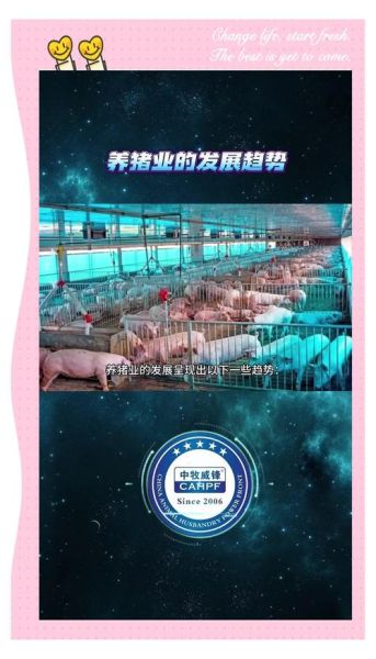 养猪市场前景如何_2024年养猪还能赚钱吗