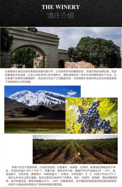 新疆葡萄酒产区有哪些_新疆葡萄酒品牌推荐