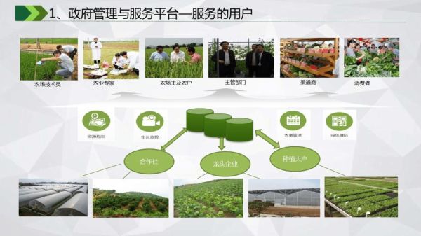 现代农业如何通过互联网赚钱_智慧农业盈利模式